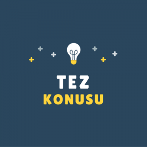 Tezsiz Yüksek Lisans Proje Örnekleri pdf