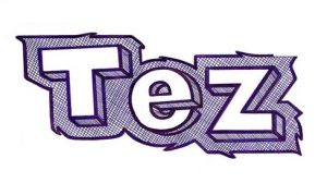 tez hazırlamak