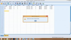 spss analizi fiyatları