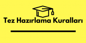 örnek tez hazırlama kılavuzu
